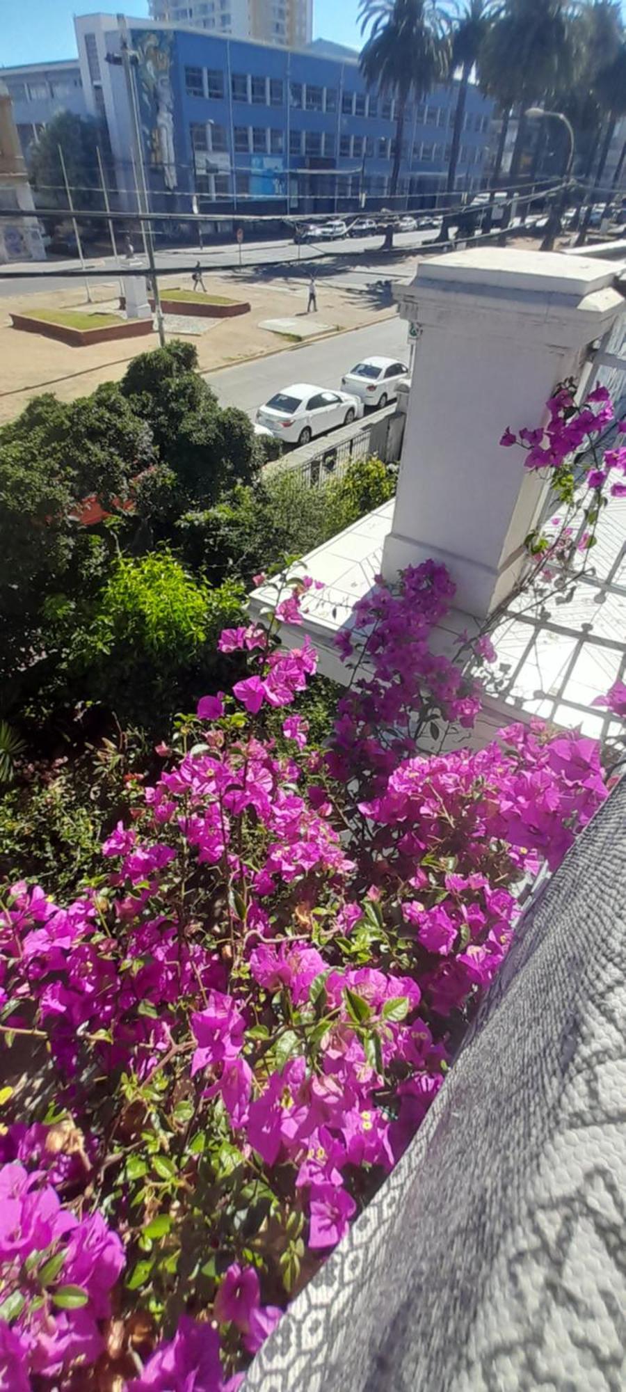 Blanca Rosa Valparaiso B&B Zewnętrze zdjęcie